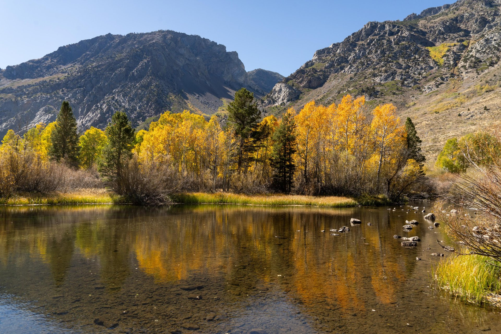 Your Guide to Fall Colors is Here! 5 fall colors