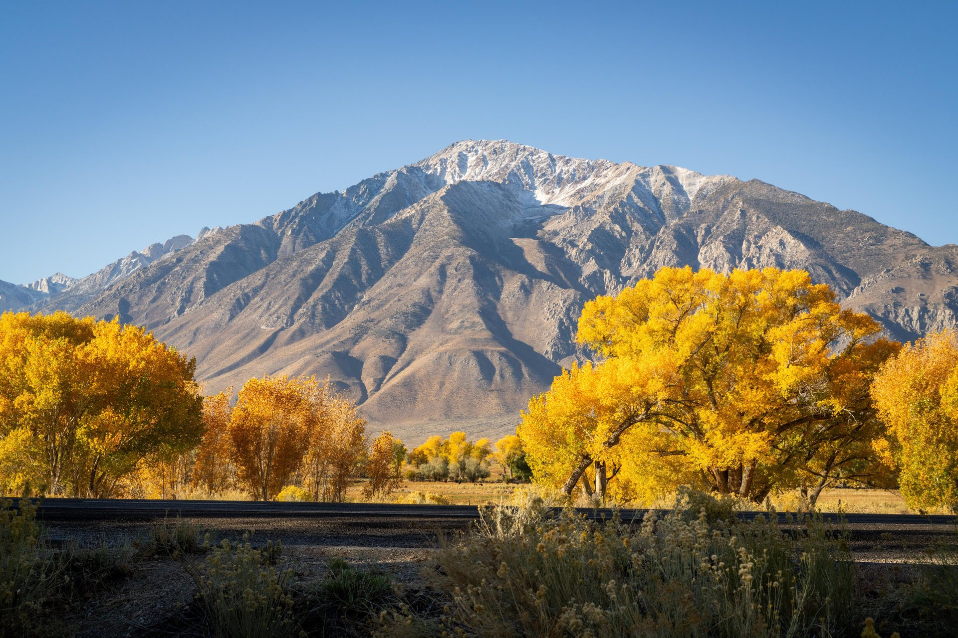 Your Weekly Fall Color Report is Here! 5 fall colors