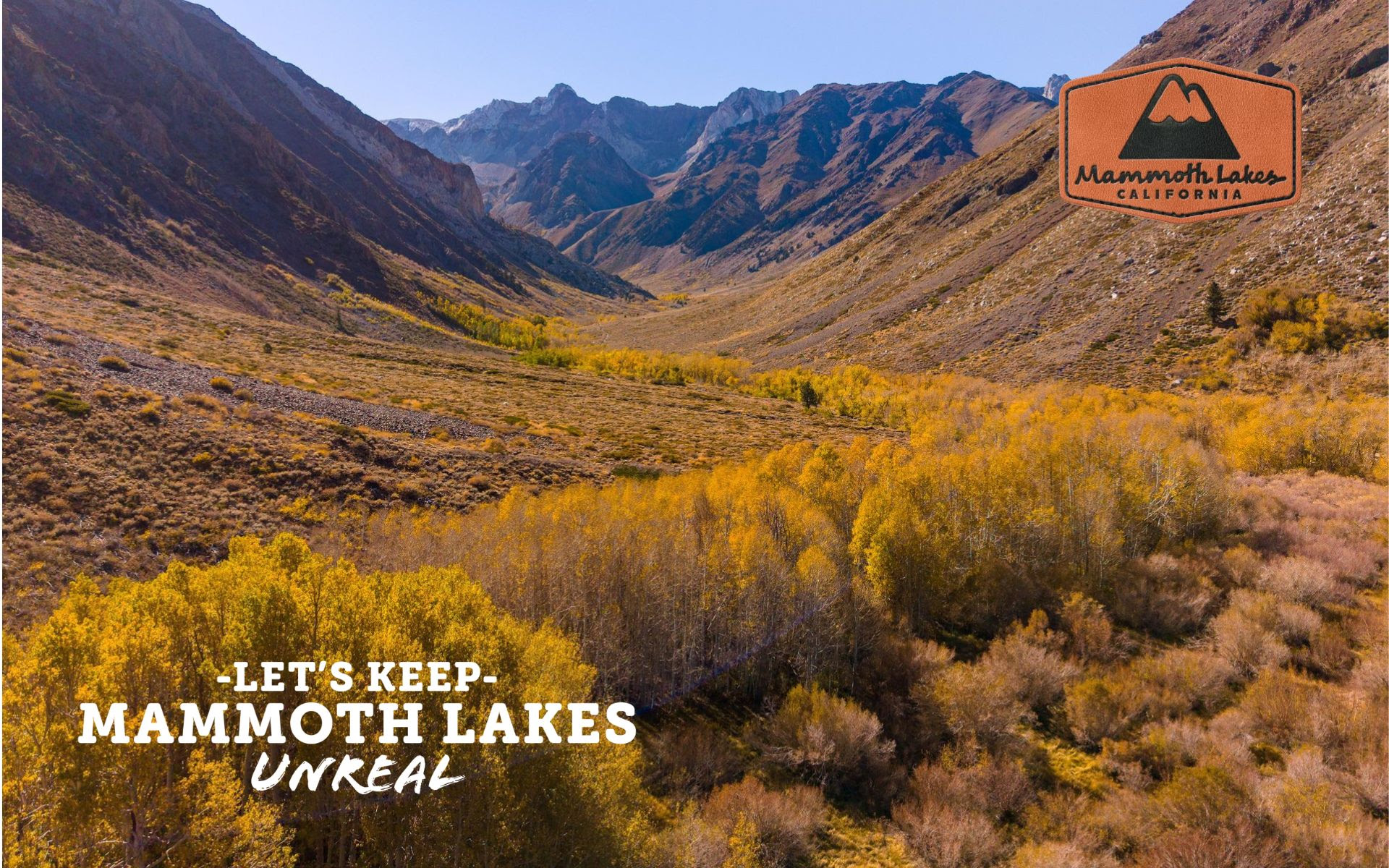 Your Guide to Fall Colors is Here! 8 fall colors