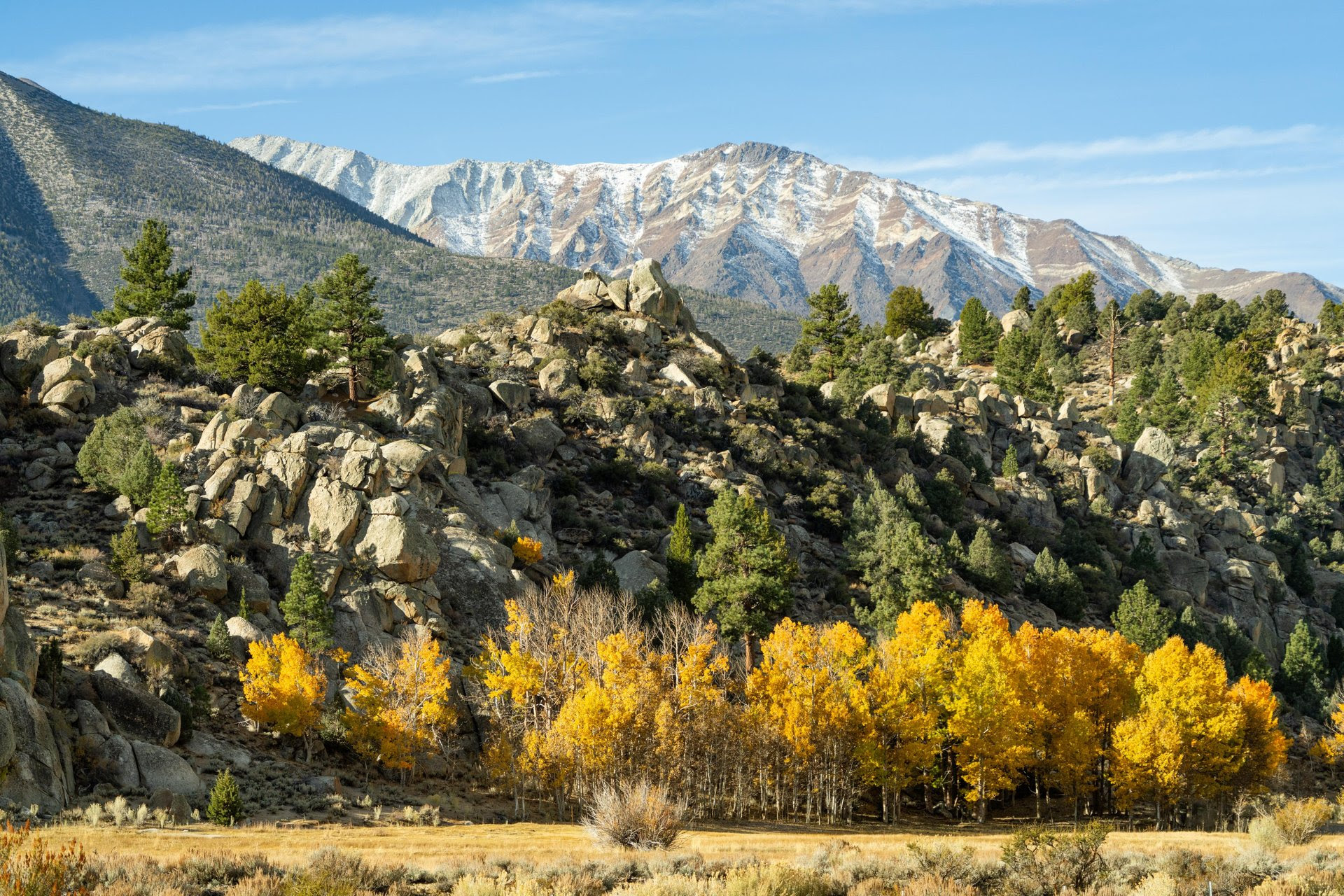Your Weekly Fall Color Report is Here! 6 fall colors
