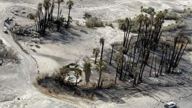 Saline Valley Warm Springs Campground Reopens After Fire