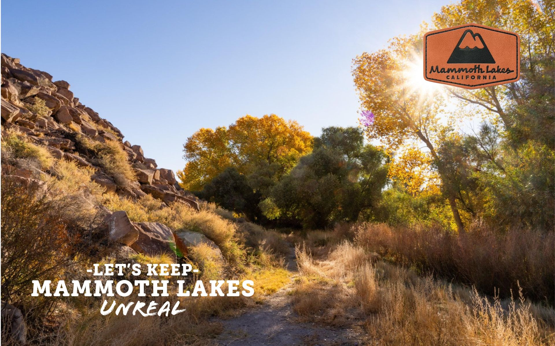 Your Weekly Fall Color Report is Here! 9 fall colors