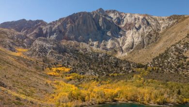 fall color