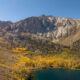 fall color