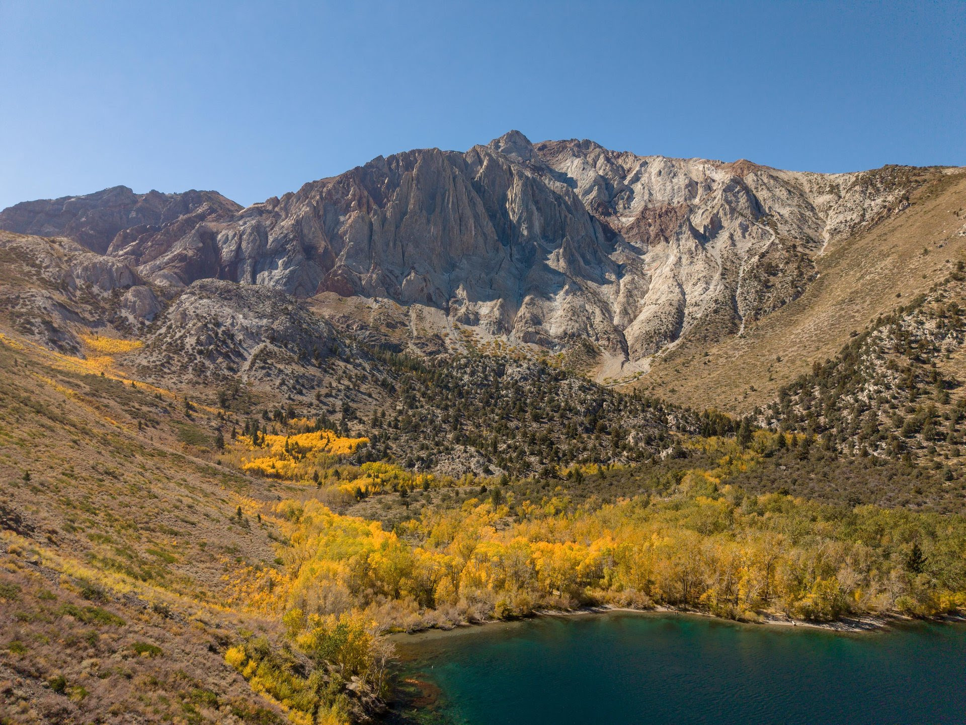 Fall colors are stunning right now! 2 fall colors