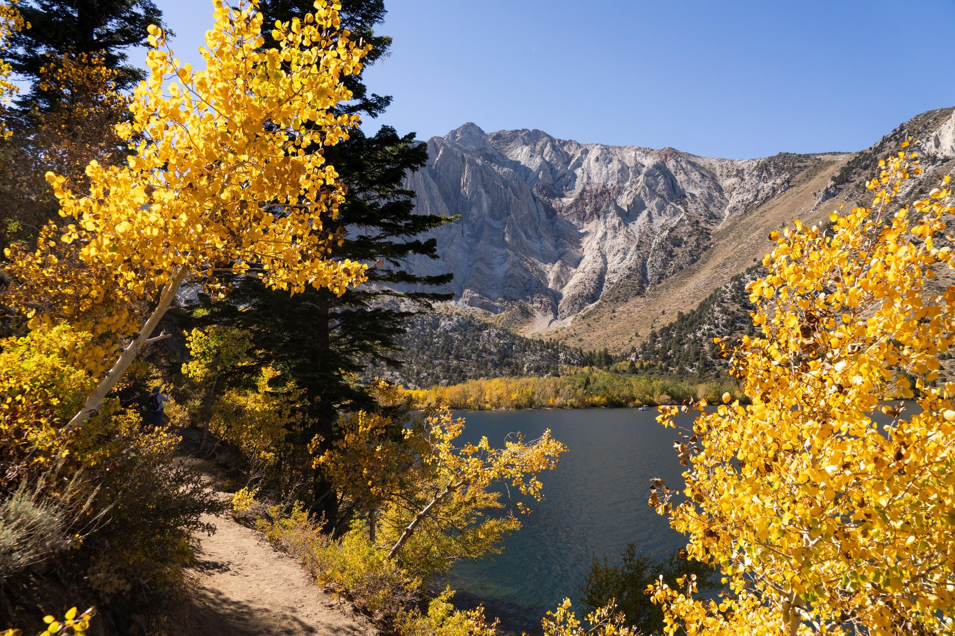 Fall colors are stunning right now! 4 fall color