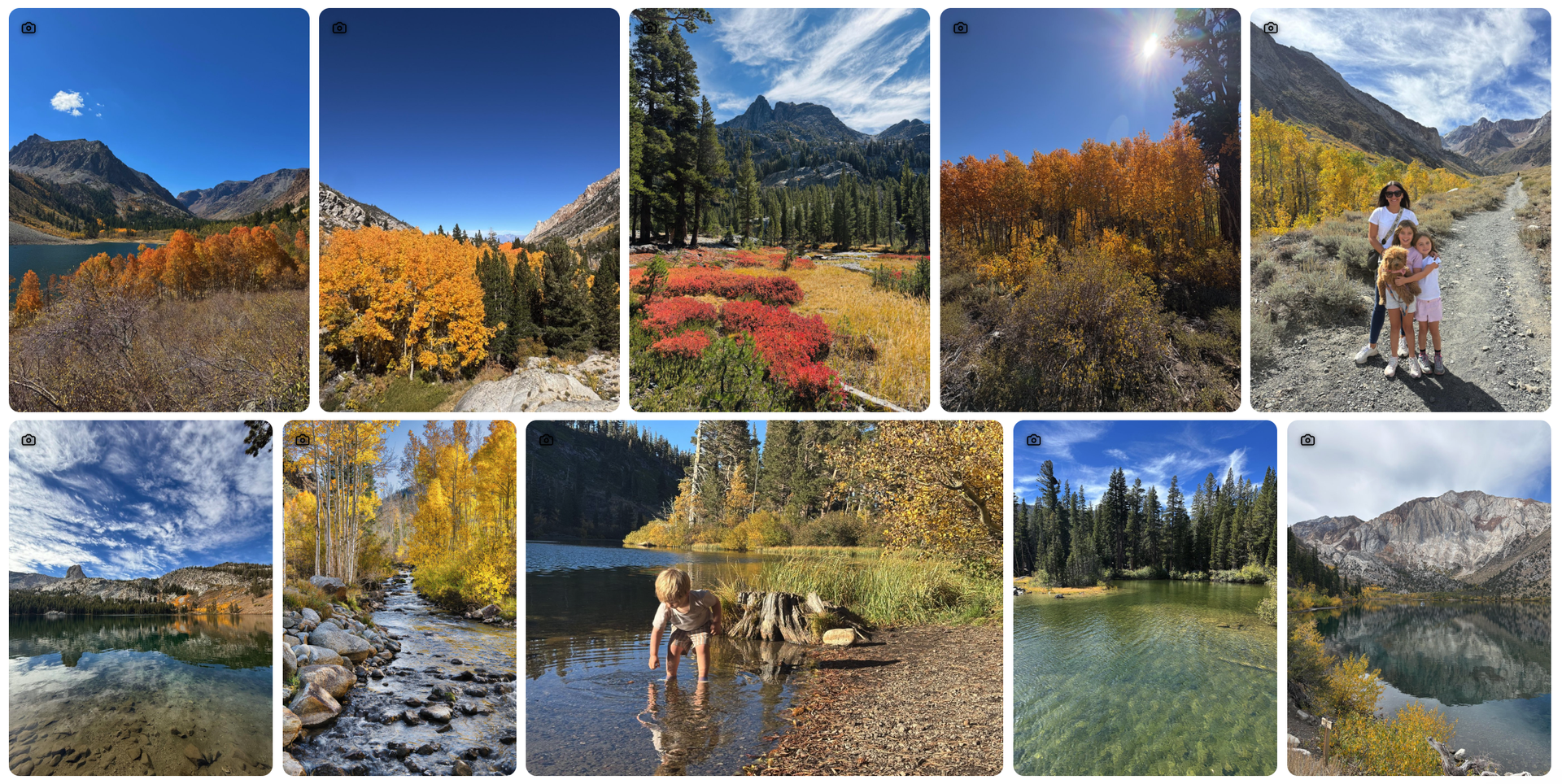Fall colors are stunning right now! 6 fall color