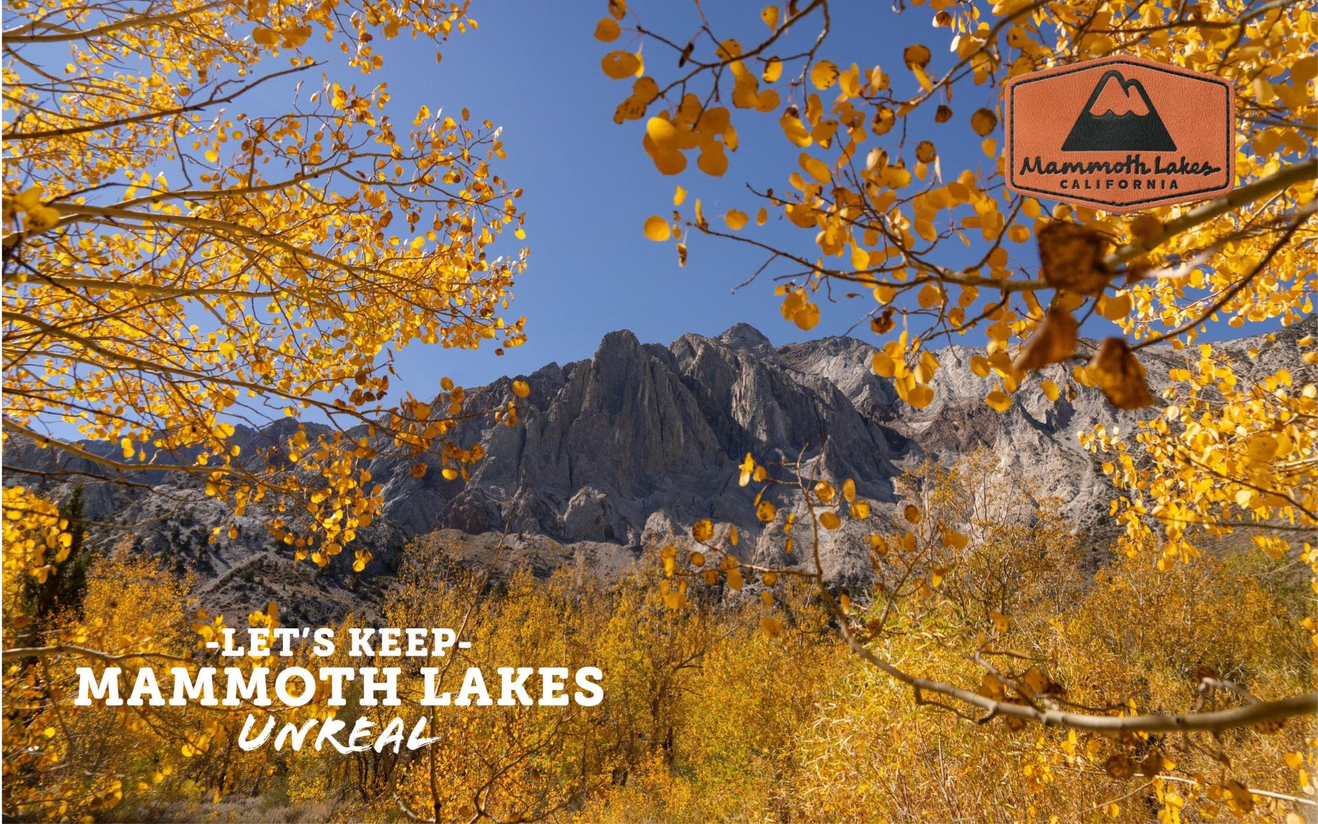 Fall colors are stunning right now! 8 fall colors