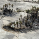 Saline Valley Warm Springs Campground Reopens After Fire